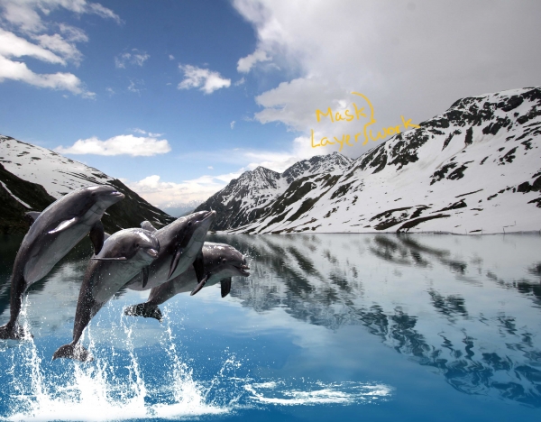 Creation of dolphin fjord: Step 3